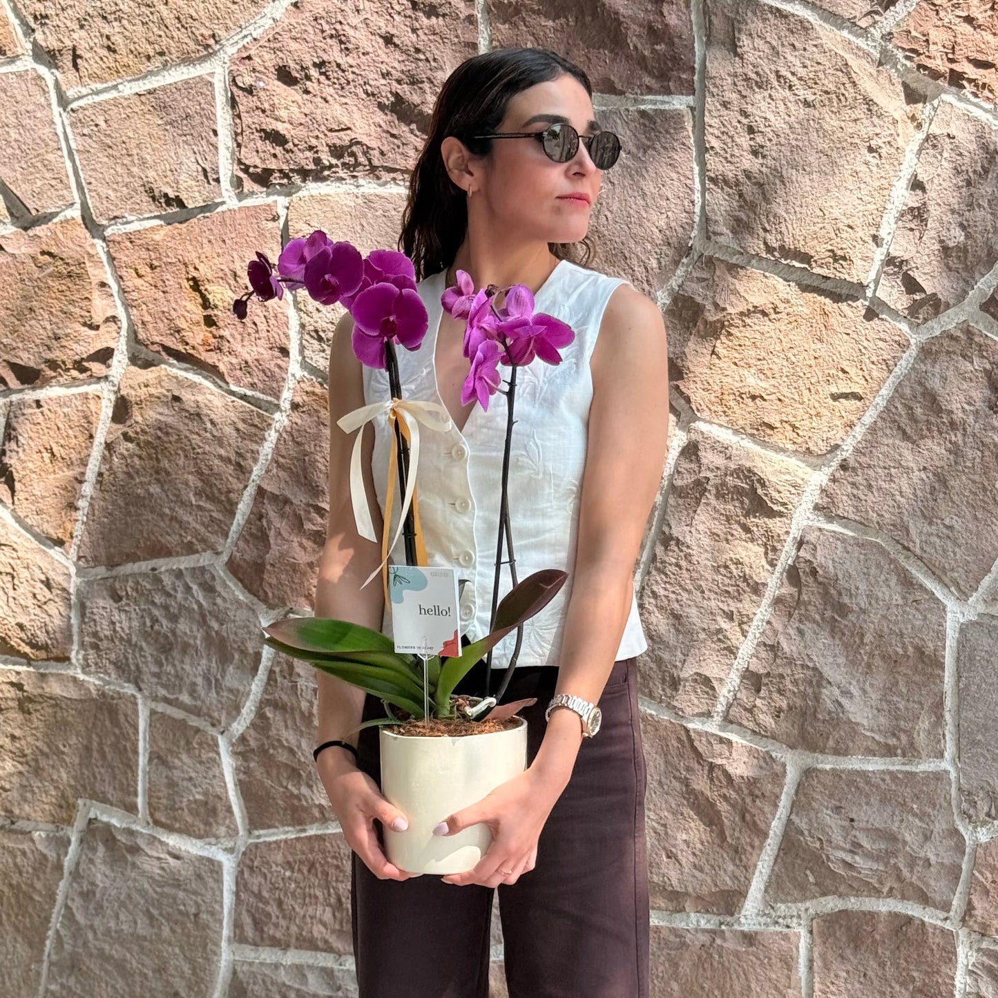 ORQUIDEA PHALEANOPSIS