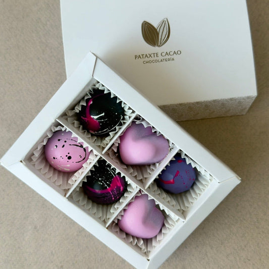 BOMBONES GOURMET RELLENOS / 6PZAS